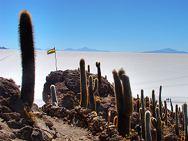 kaktusy, bolívijská vlajka a salar